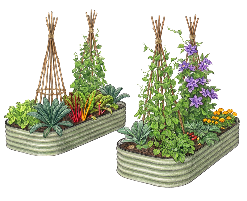Family Patch — two Grobox beds with a cattle-panel arch trellis between them, fully planted